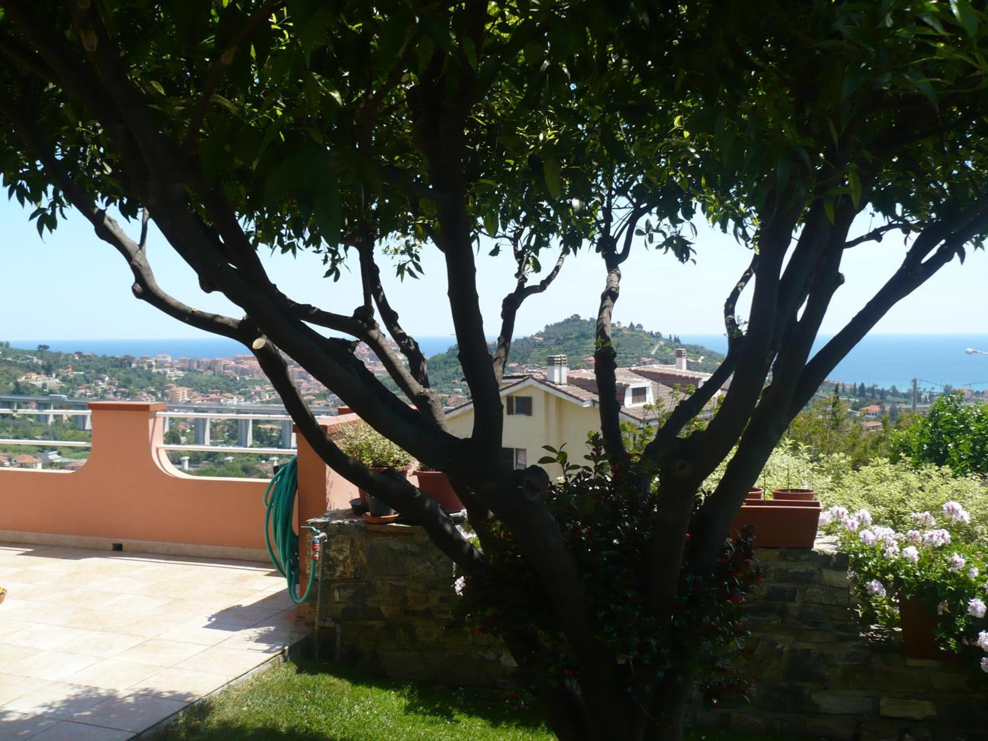 Azienda Agrituristica Villa Arianna インペリア エクステリア 写真