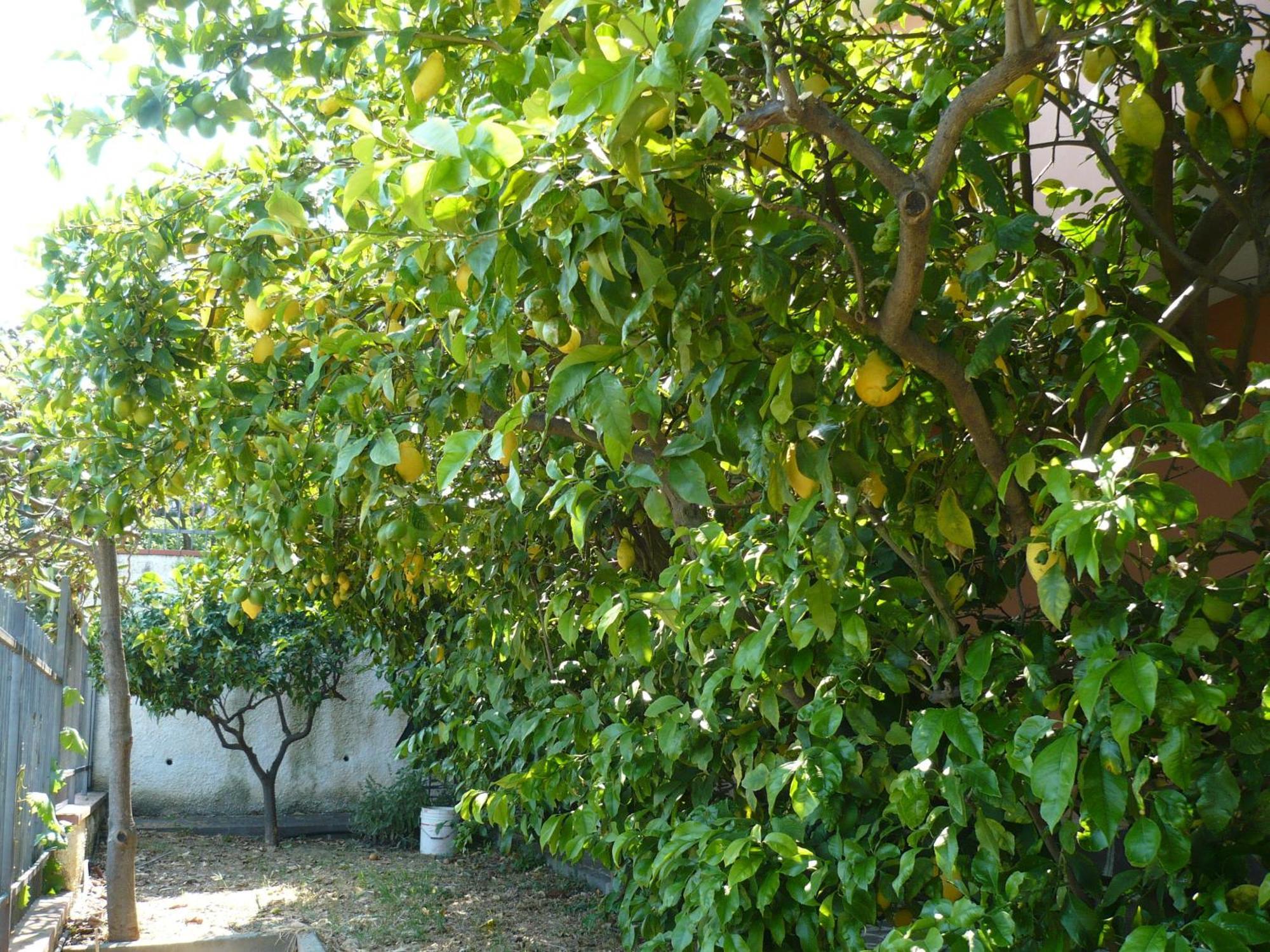 Azienda Agrituristica Villa Arianna インペリア エクステリア 写真