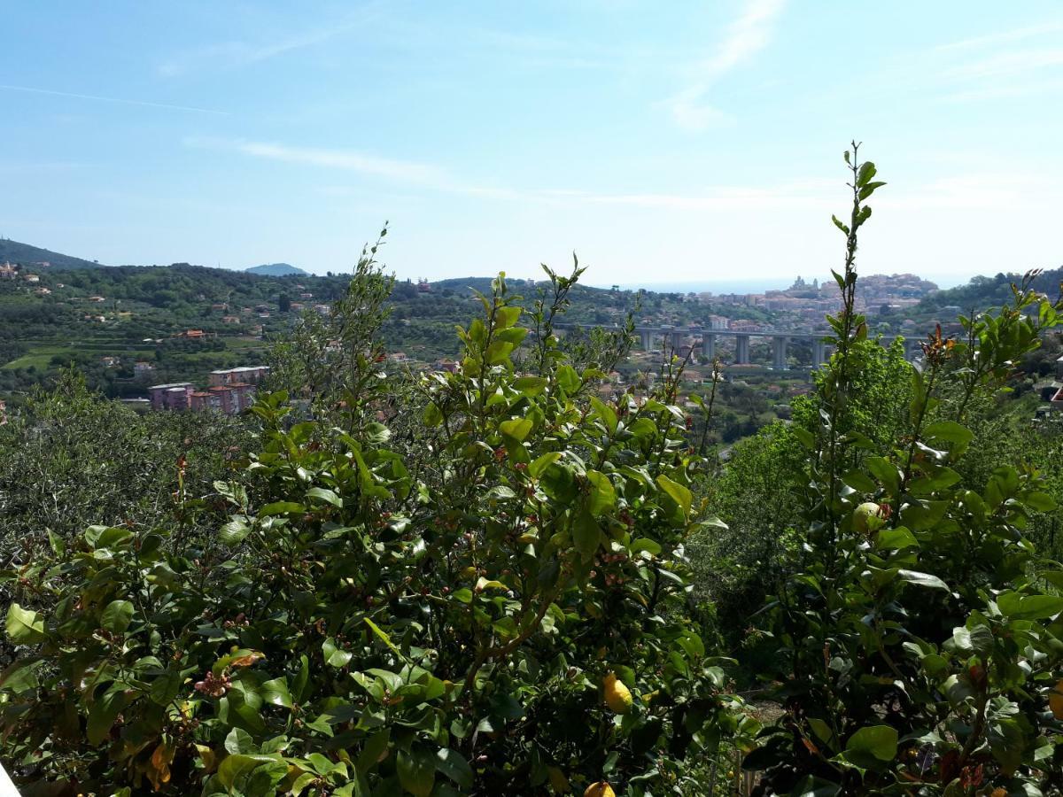 Azienda Agrituristica Villa Arianna インペリア エクステリア 写真