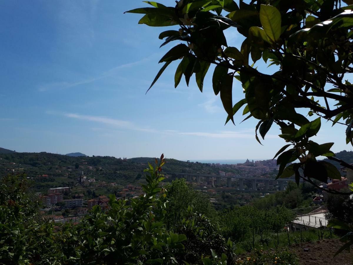 Azienda Agrituristica Villa Arianna インペリア エクステリア 写真